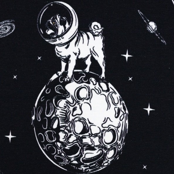 Swafing, Jesse, Jersey Baumwolle, Weltraum, Astronaut, schwarz