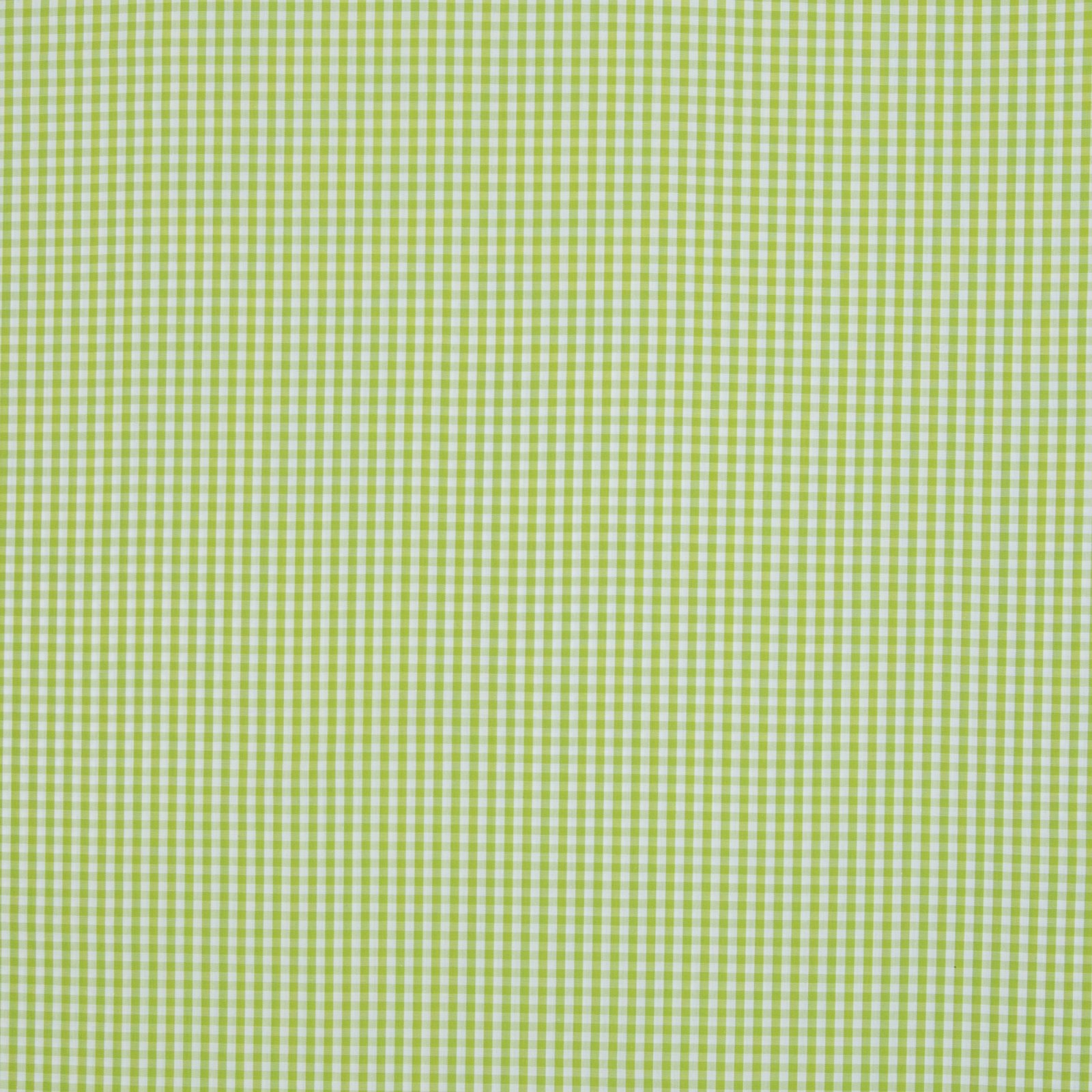 Baumwolle Webware „Checks - 3 mm" – Karos, grün/weiß