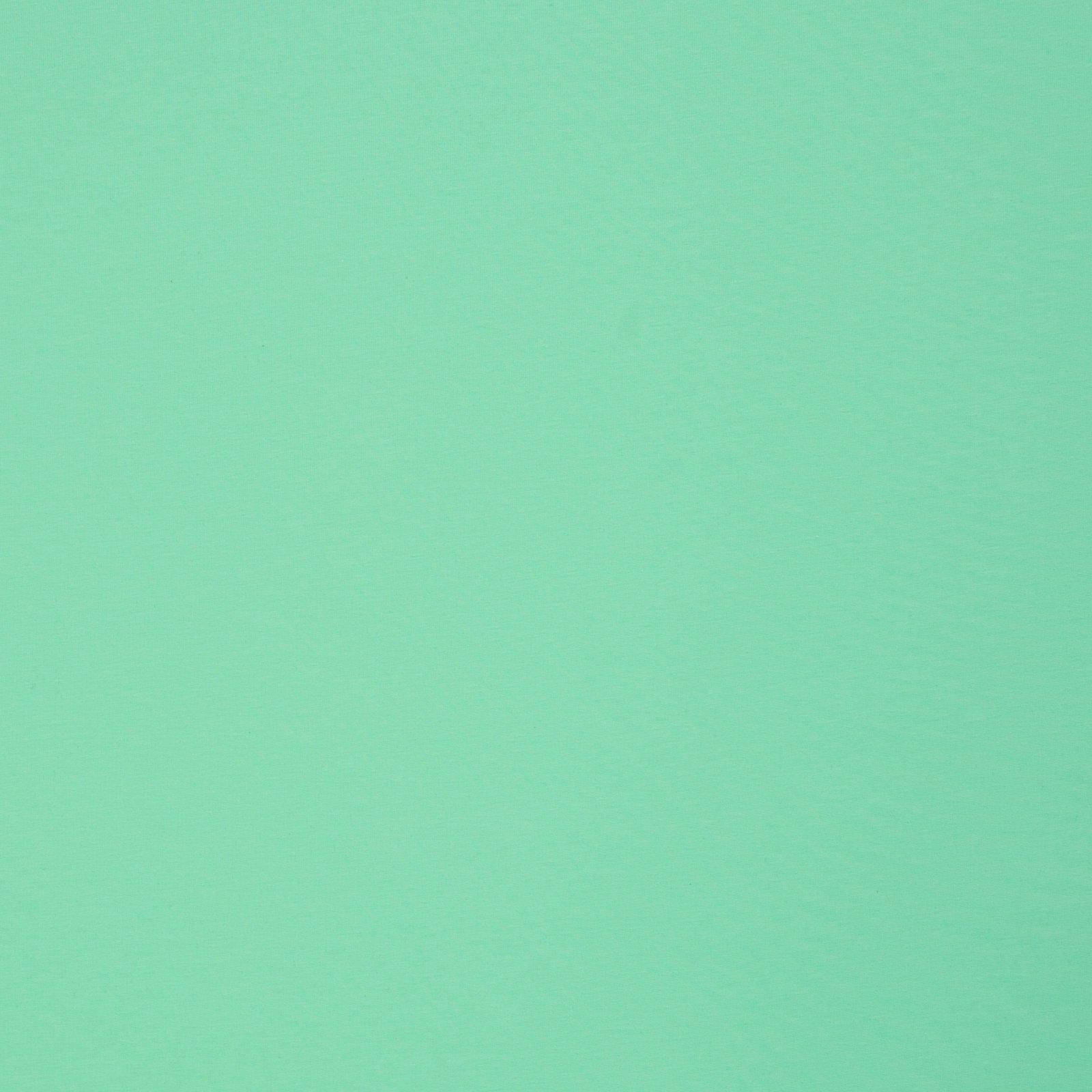 French Terry „FS26 Maike" – uni, mint