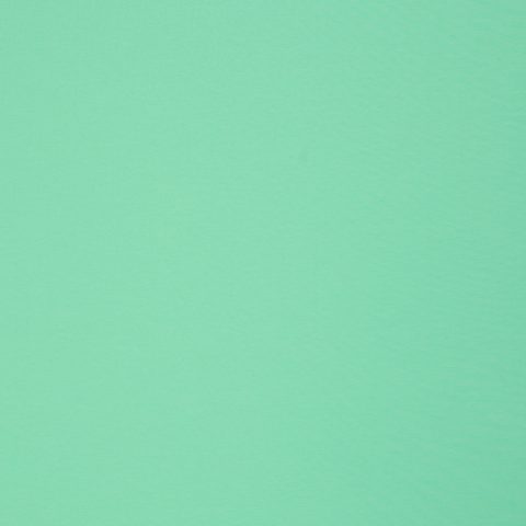 French Terry „FS26 Maike" – uni, mint