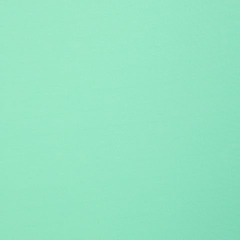 Jersey Baumwolle „FS26 Vanessa" – uni, mint
